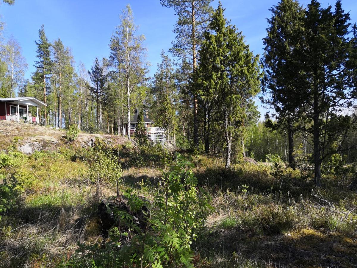 Hostel Mansikka Taipalsaari Exteriér fotografie